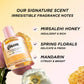 Gisou - Honey Infused Hair Perfume (Preorden)